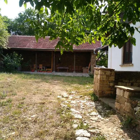 Pensiune Tanya's House 2 *